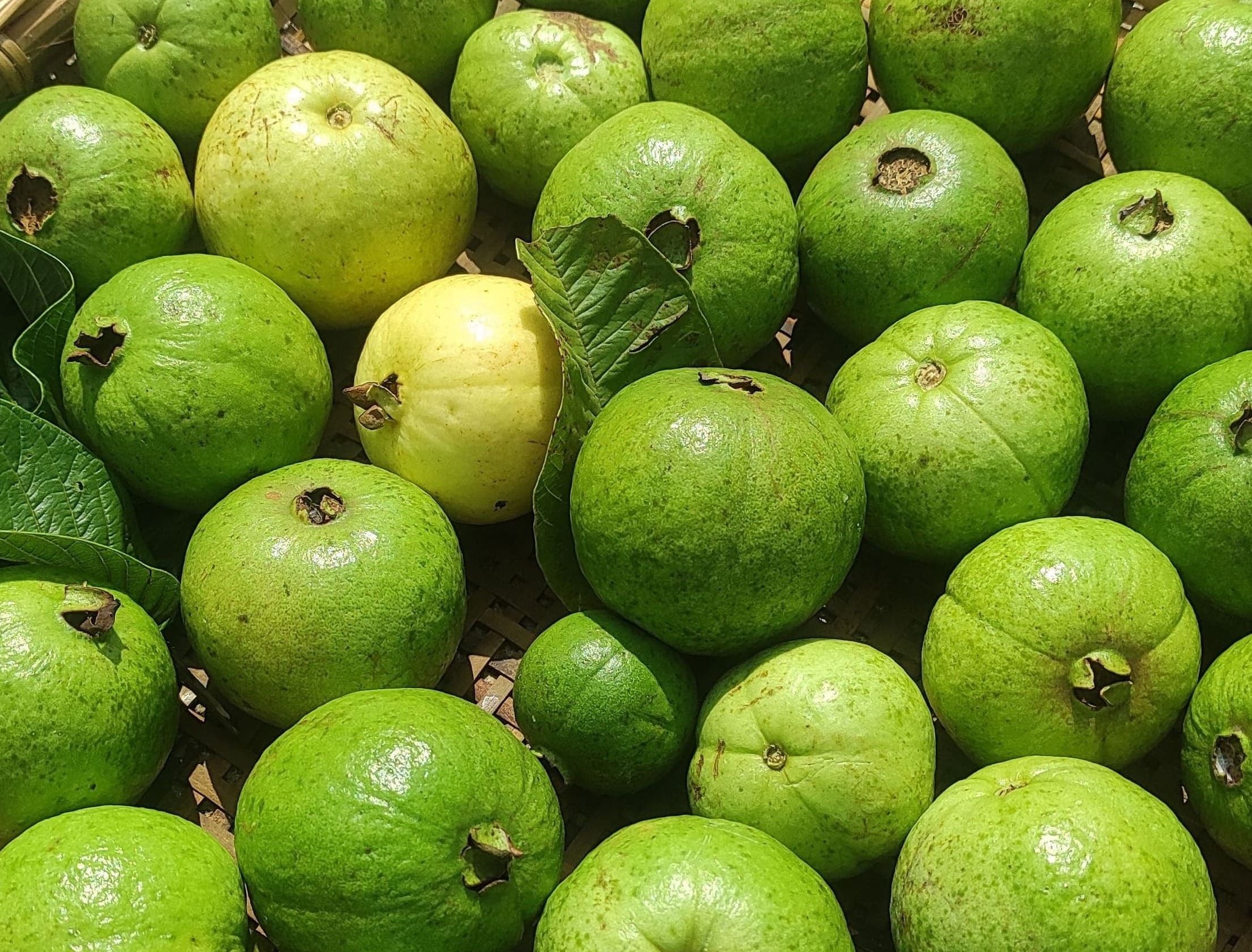 Calories in 1 Guava: Nutrition Facts You Should Know