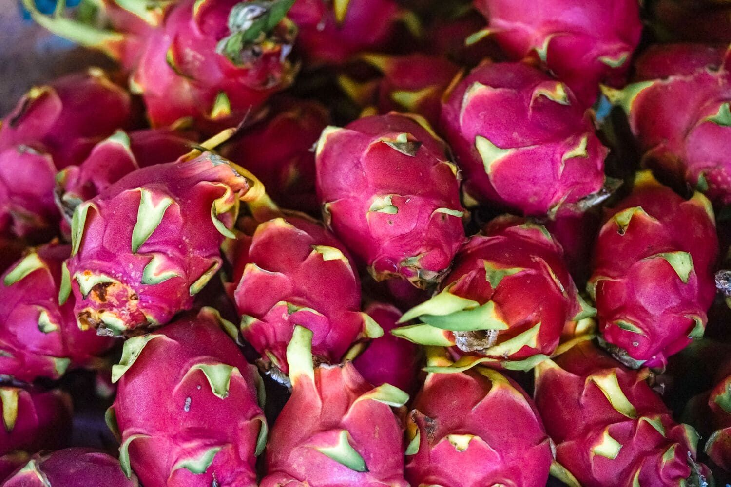 Health Benefits of Dragon Fruit