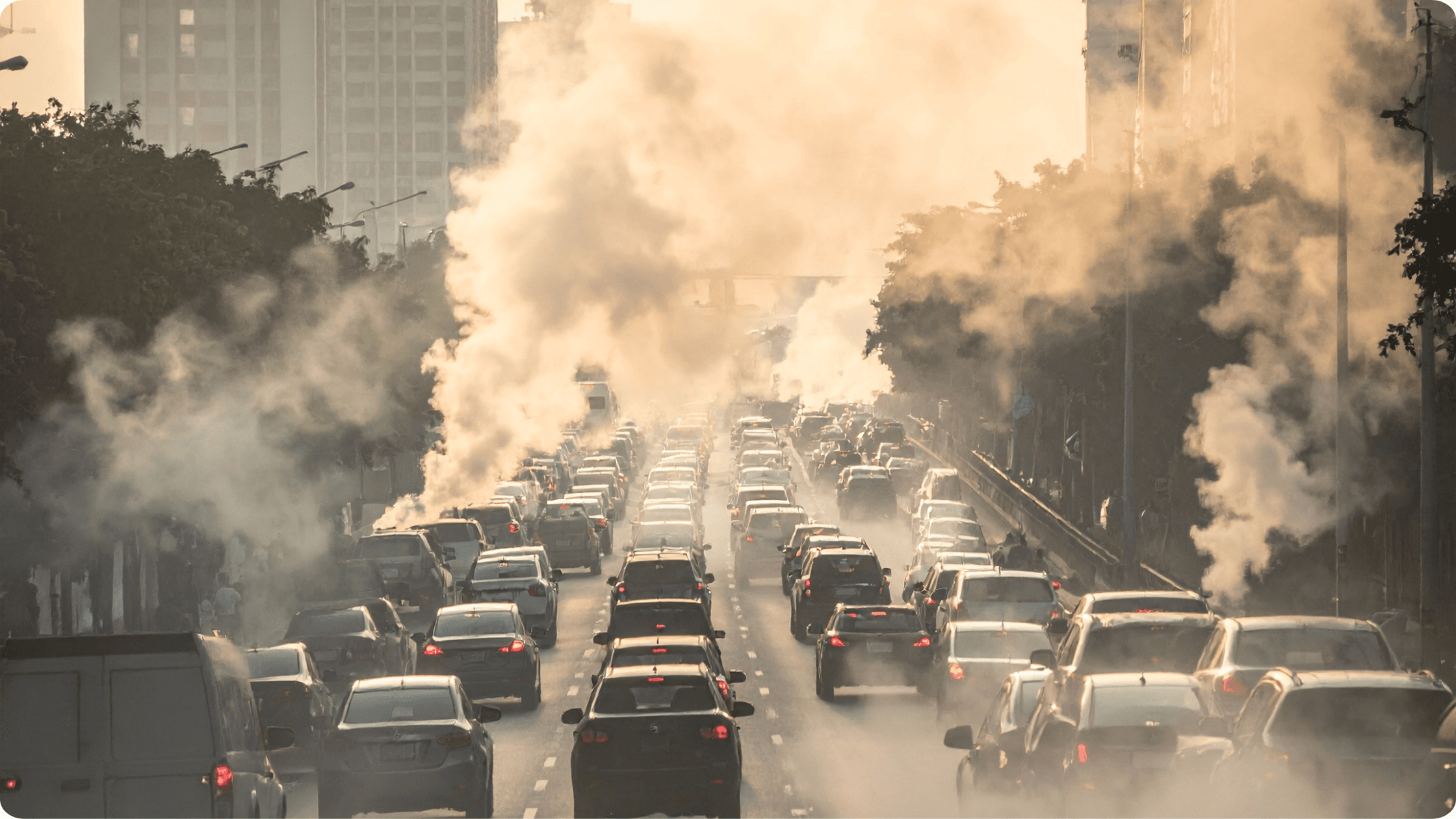 PUC Buying Guidelines: How to Obtain a Pollution Under Control (PUC) Certificate for Two-Wheelers