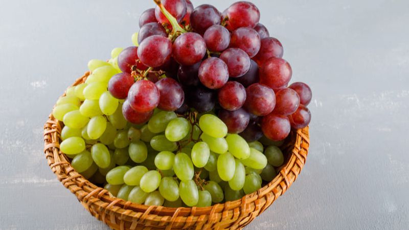 Benefits of Grapes: Nutrition, Uses & Side Effects